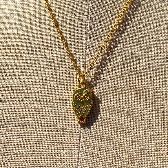 Hand Crafted Jewelry - NWT Sterling Silver Plated Chain & Alloy Owl Charm Necklace